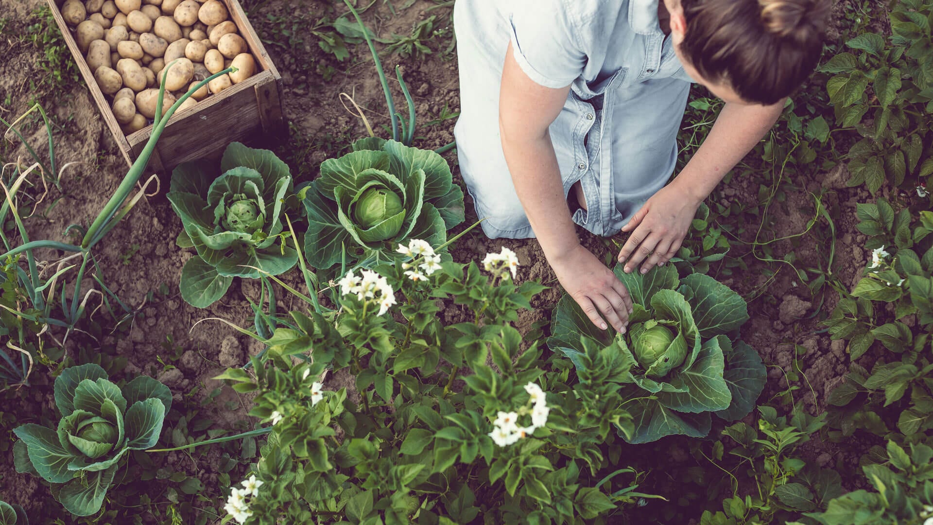 10 ways to live more sustainably