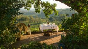 Lunch Terrace at Gibbs Farm