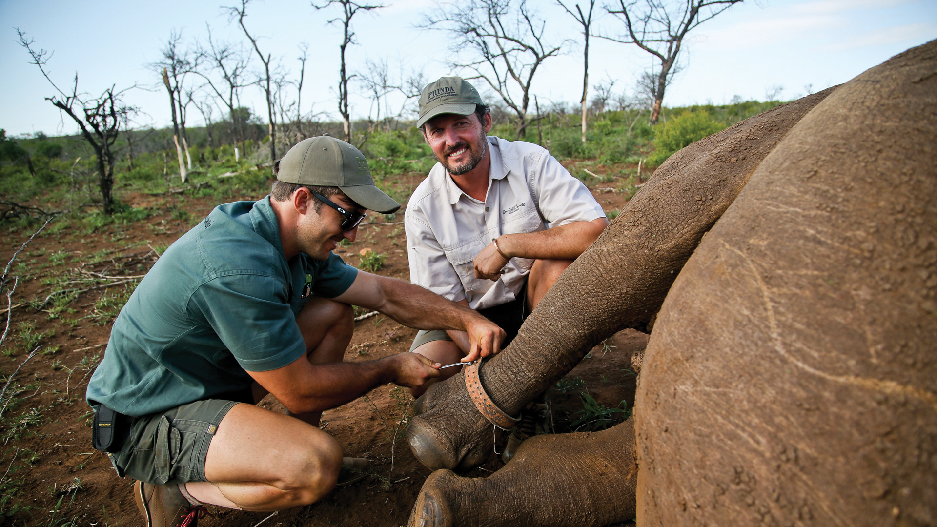 simon naylor putting a tracking device on a rhino on a private jet expedition with andbeyond