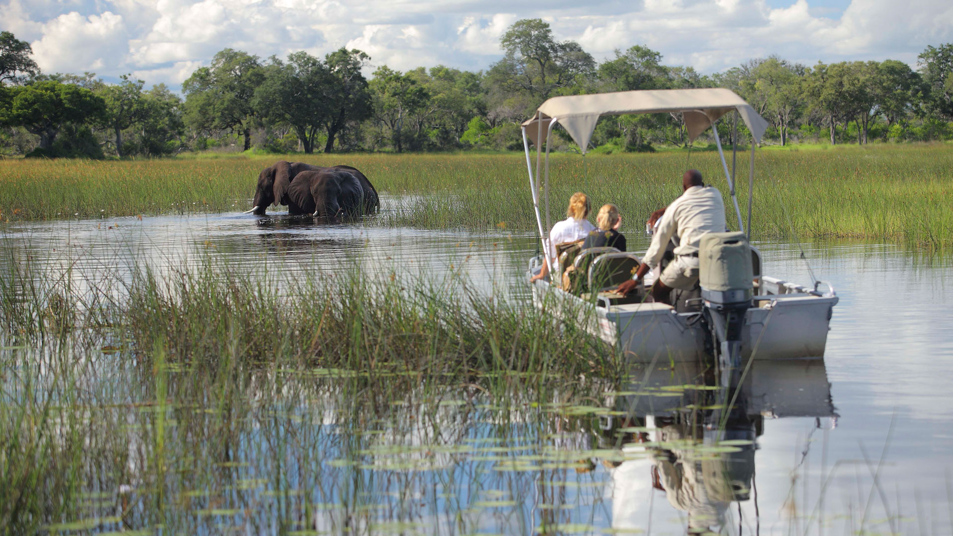 Afternoon Boat Ride Okavango Delta Botswana