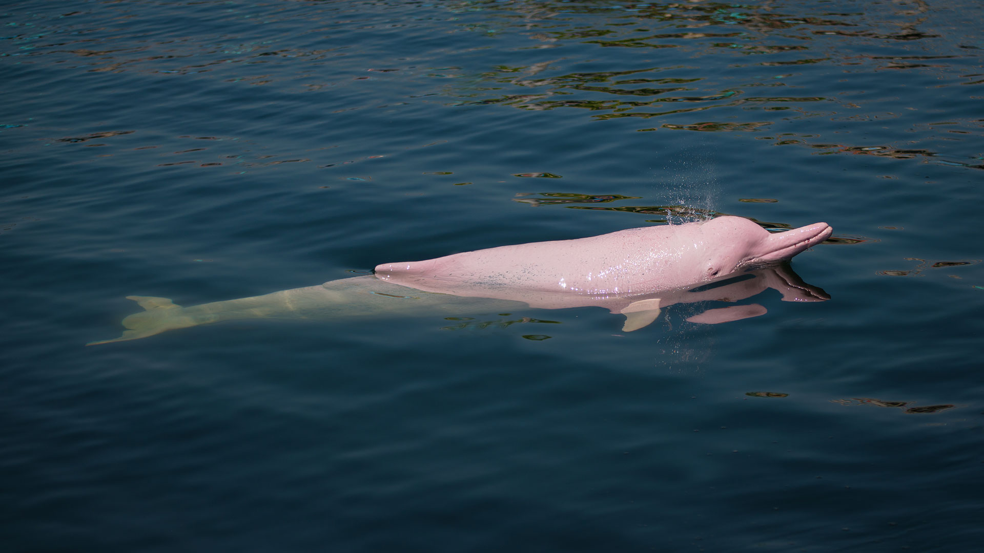 Boat Cruise Boating Adventure Amazon Andbeyond Boat Cruise Boating Adventure Amazon Andbeyond