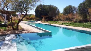 Atacama swimming pool Sheena Knox