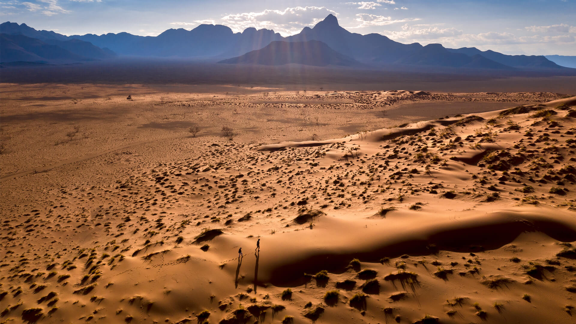 Seeking an Oasis in a Data Desert