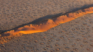 Aerial view of ochre sand dunes and mysterious fairy circles