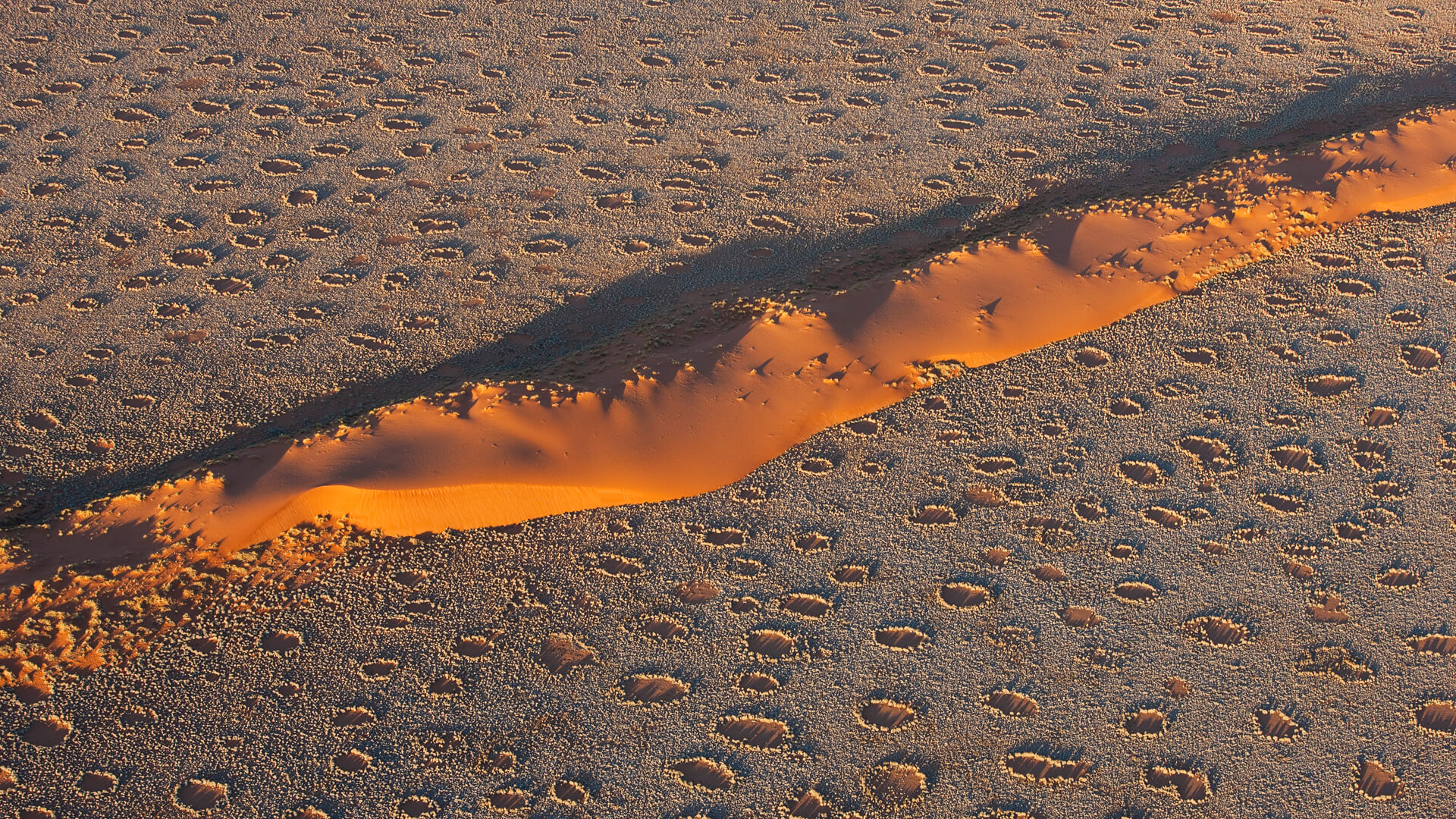 A Mystery Circling the Desert, Fairy Circles in Namibia