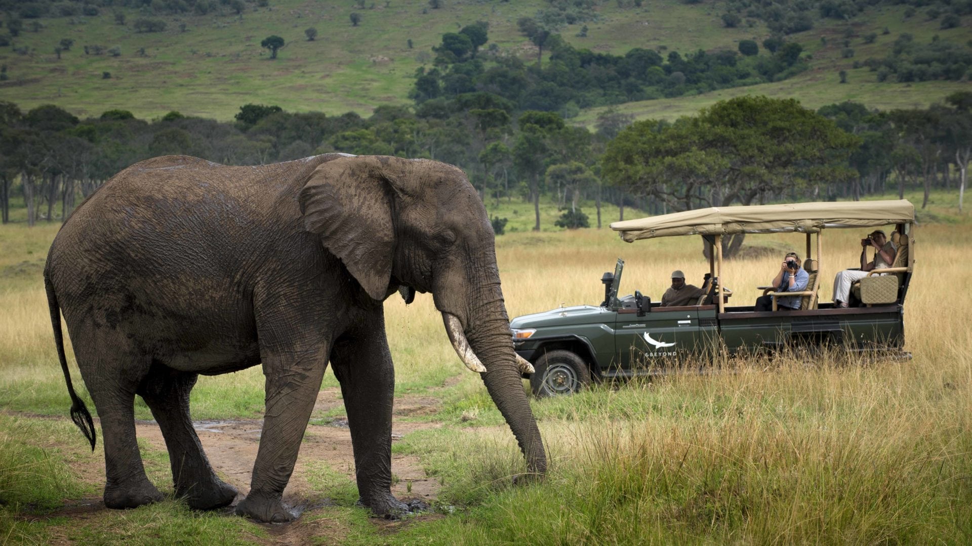 Bateleur camp kenya game drive