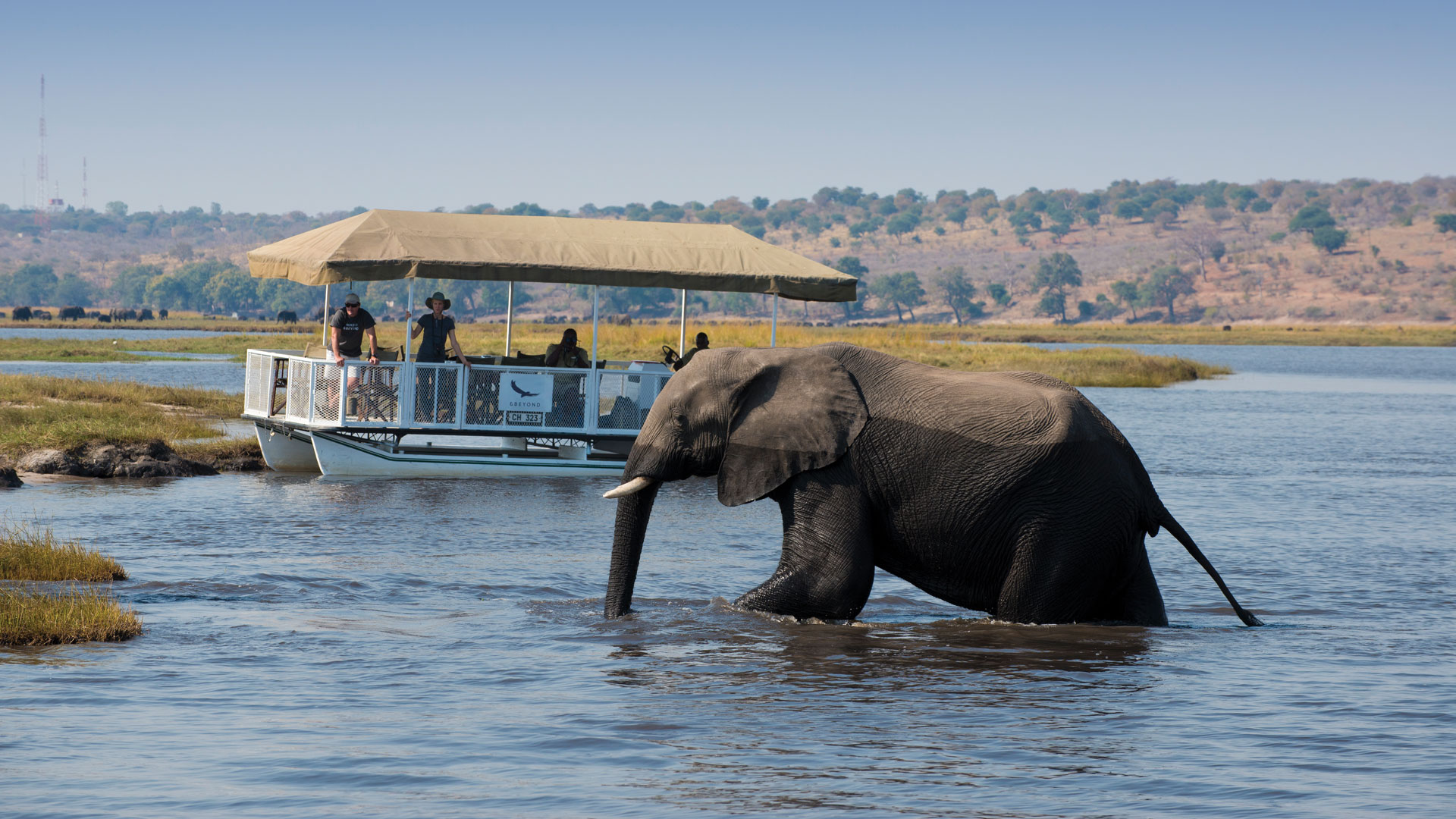 Chobe Park | Best Wildlife Park in Botswana | andBeyond