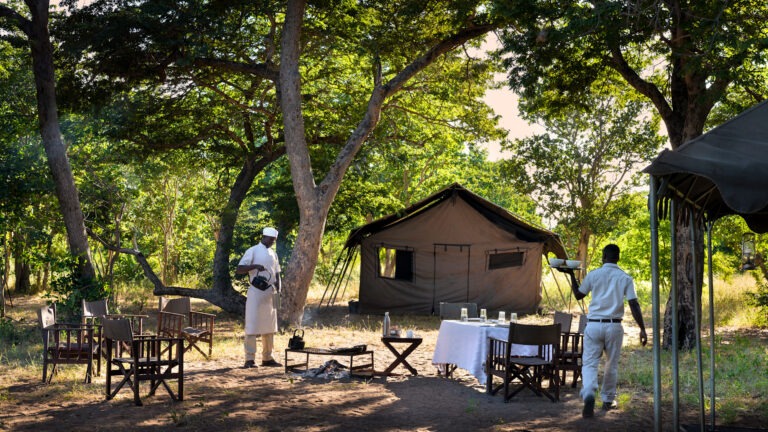 Discover &Beyond Chobe Under Canvas, Botswana