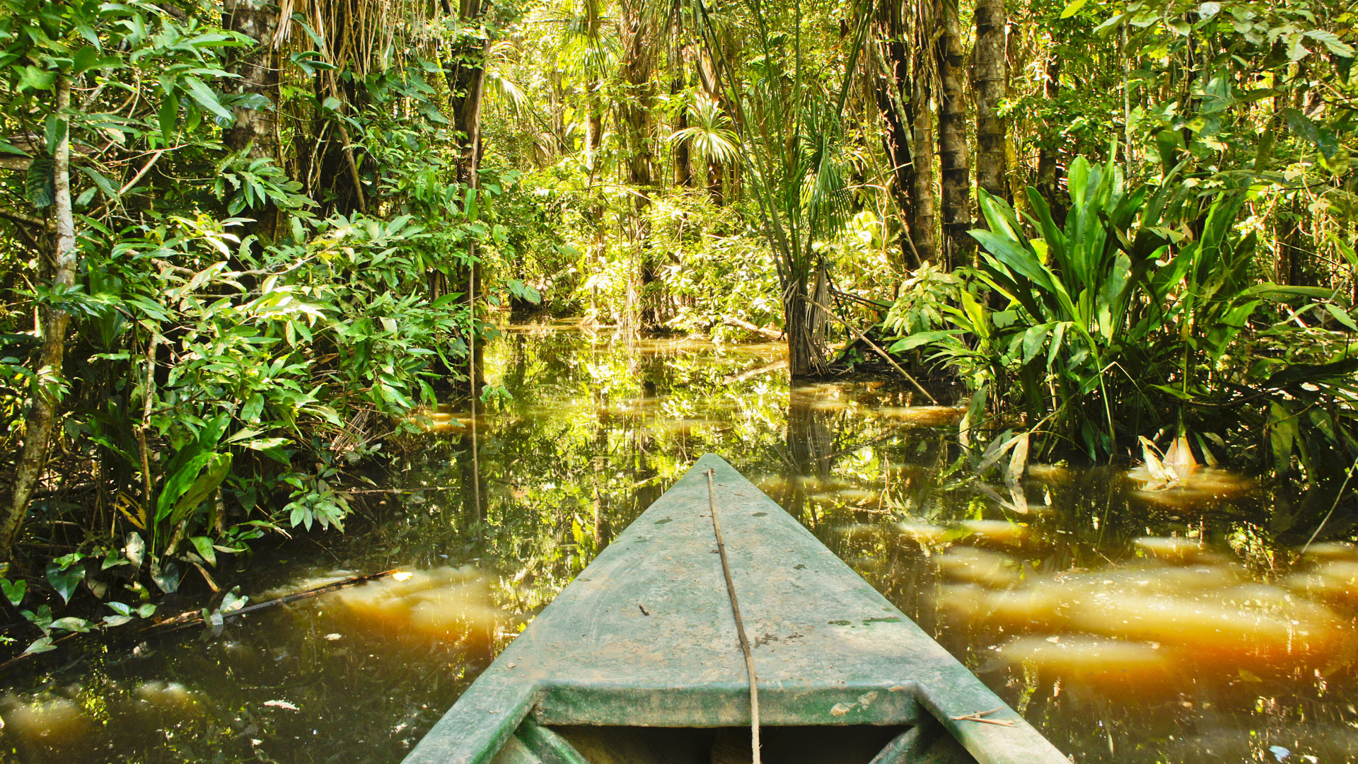 Kayaking & Fishing in the Northern Amazon andBeyond