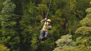 Canopy tours Huilo Huilo Biological Reserve