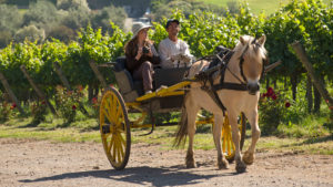 Chile Wine Country Odjfell Winery guests expolring vinyards