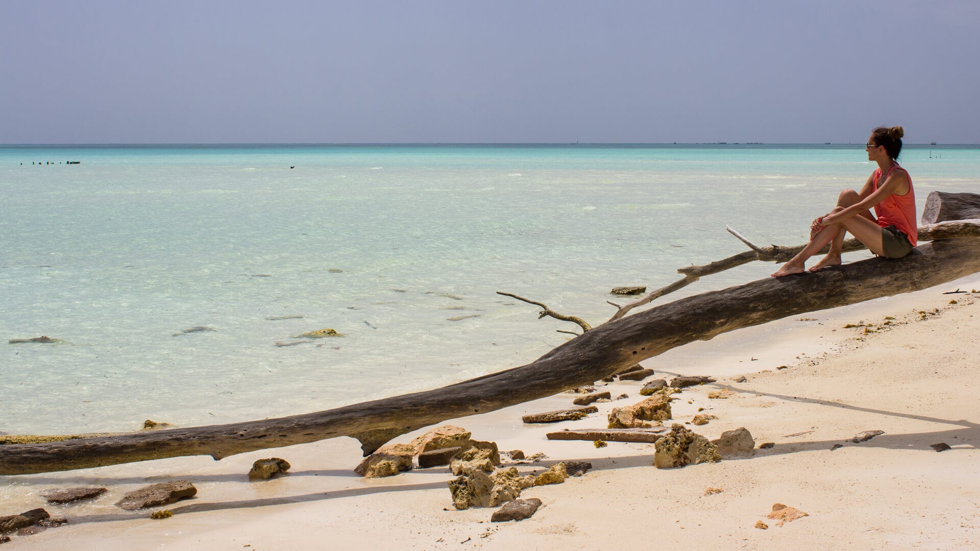 https://www.andbeyond.com/wp-content/uploads/sites/5/Claire-Trickett-sitting-on-driftwood-on-Mnemba-Island.jpg