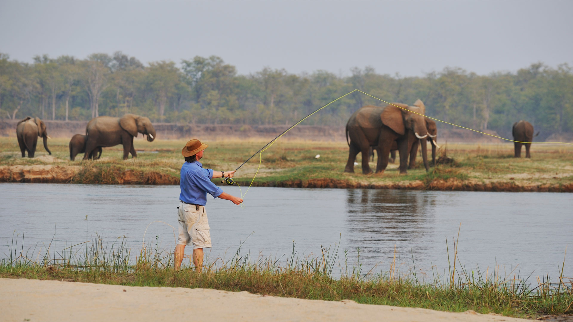 Tussle with a Tiger Fish  Avid Fisherman Experience in Zambezi