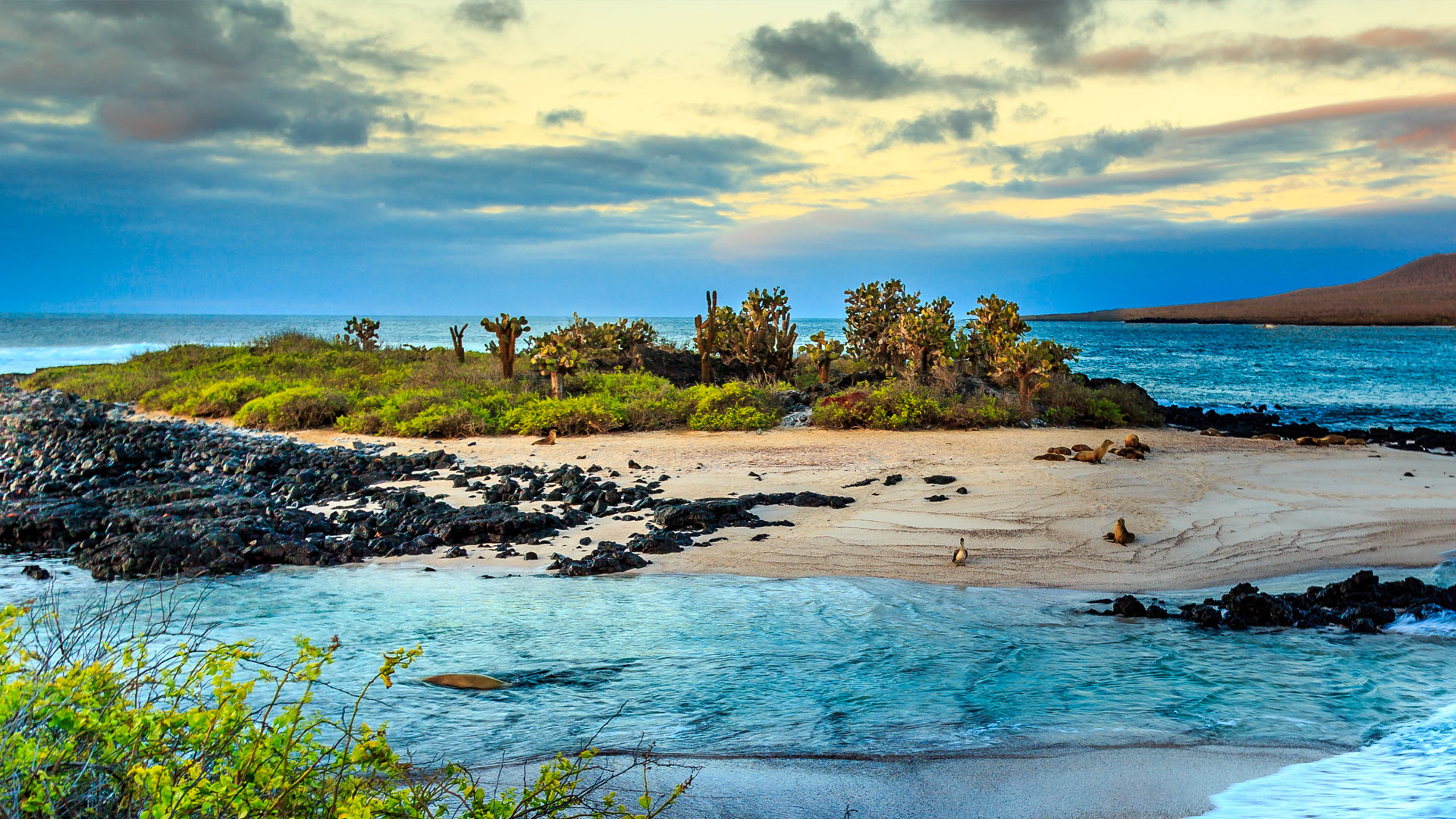 11 Islands With Amazing Biodiversity