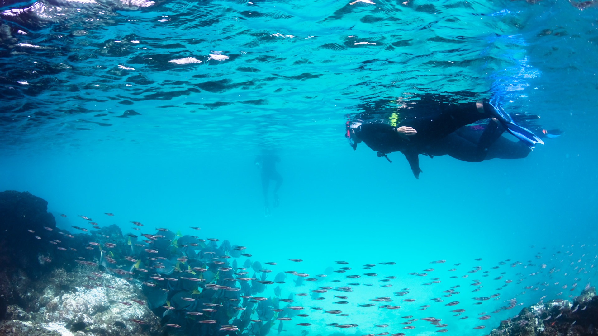 Galapagos adventures | Luxury African Safaris,South America