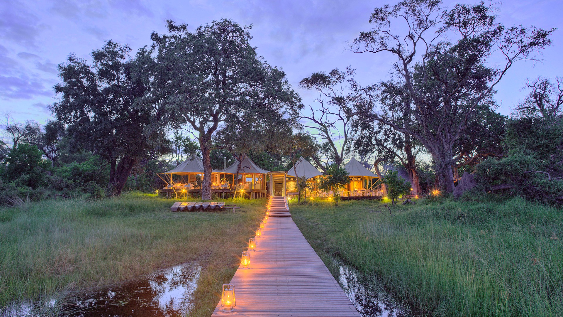 safari camps in okavango delta