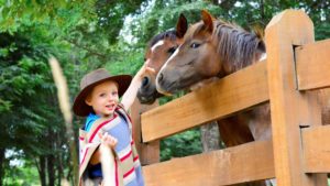 Horse Riding at andBeyond Vira Vira