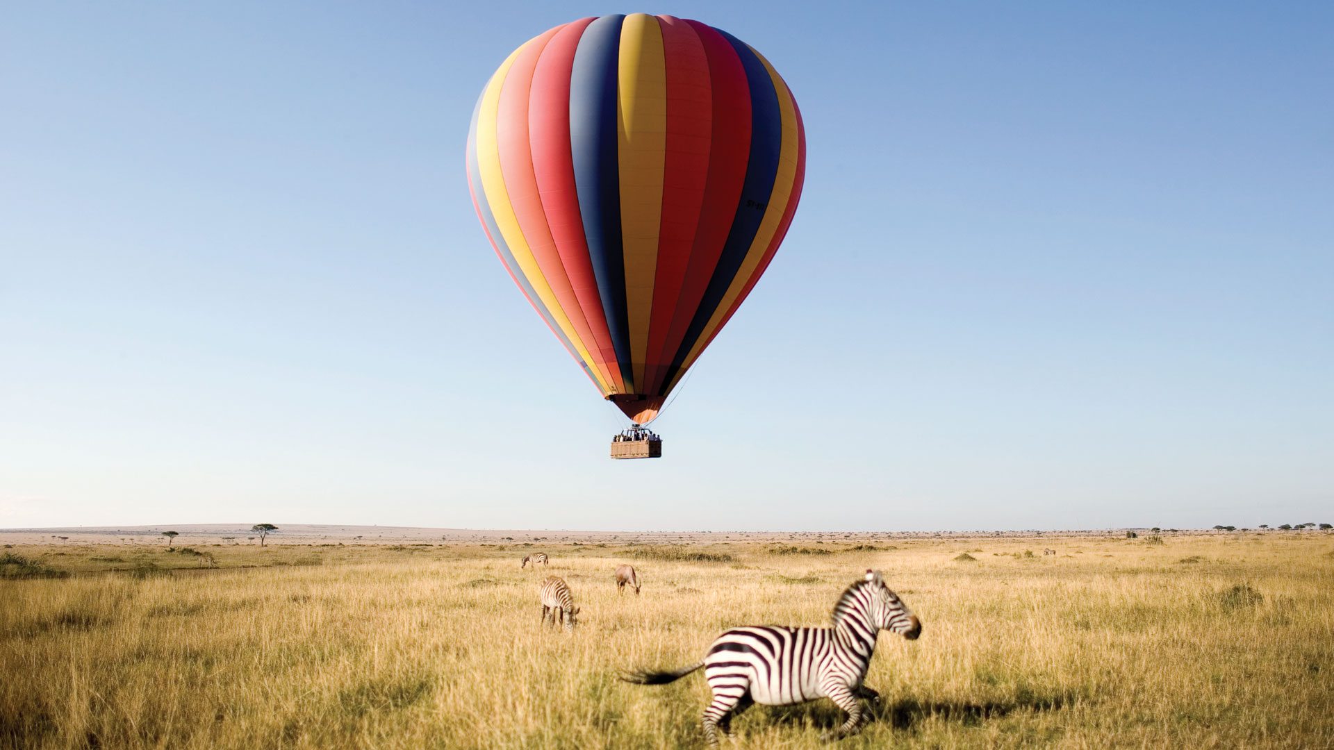 Rise Before the Sun and prepare to Take Off Hot Air Balloon
