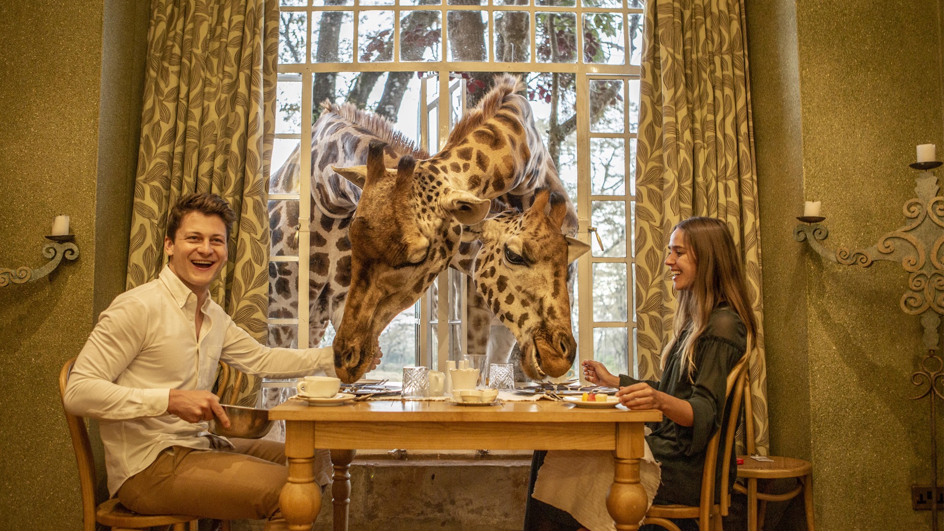 Two giraffes poking their heads through the window at Giraffe Manor