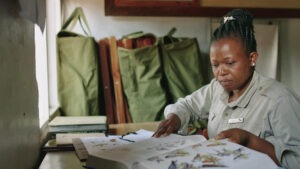 Aziza Mbwana studying bird books in ranger room