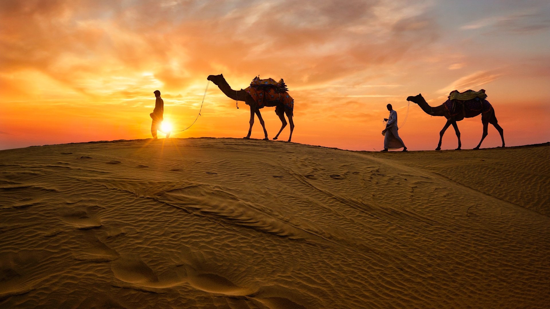 Best Time to Visit India: Month-by-Month Travel Guide