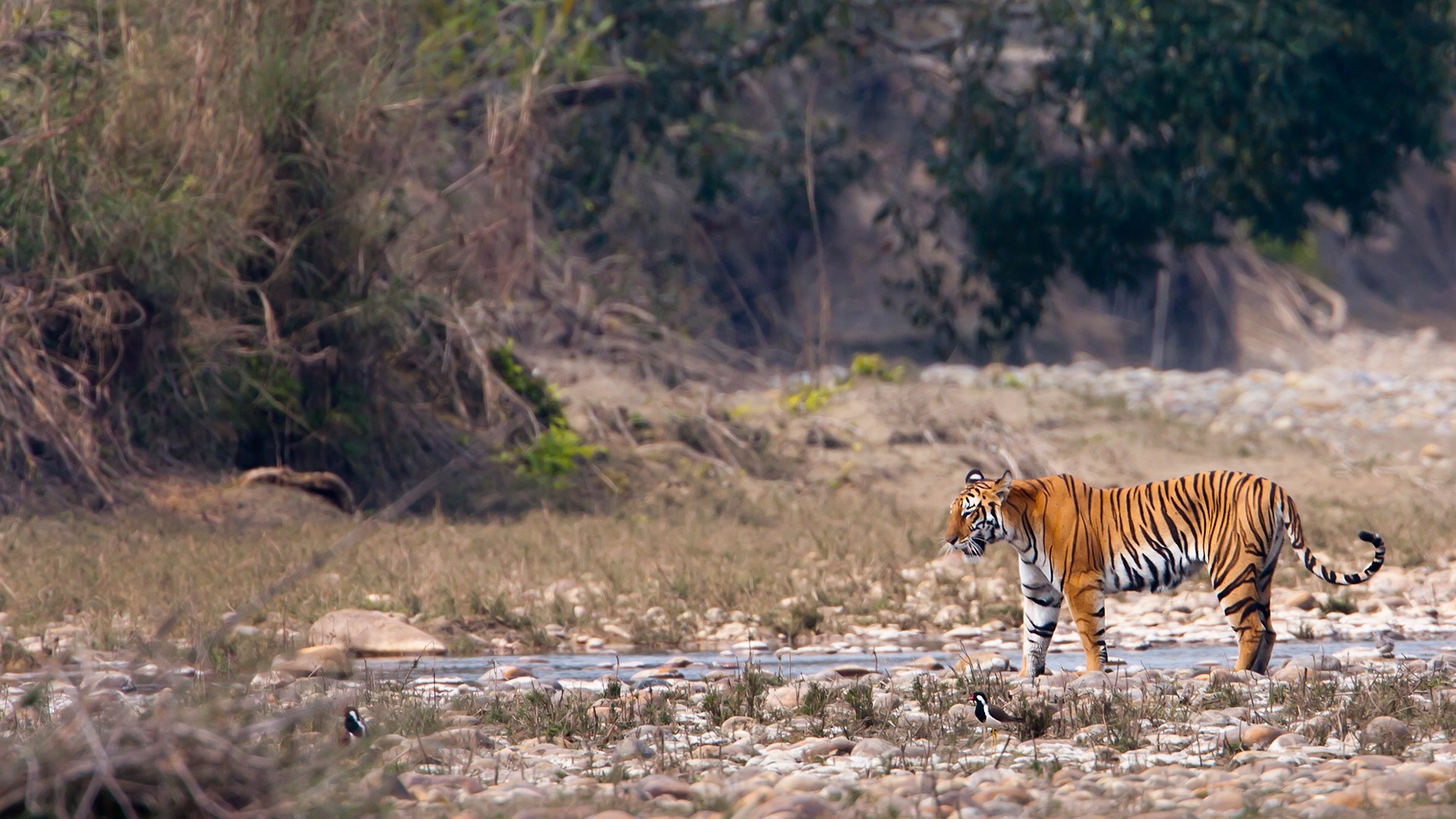 Central India | Heart of India | Chhattisgarh | andBeyond