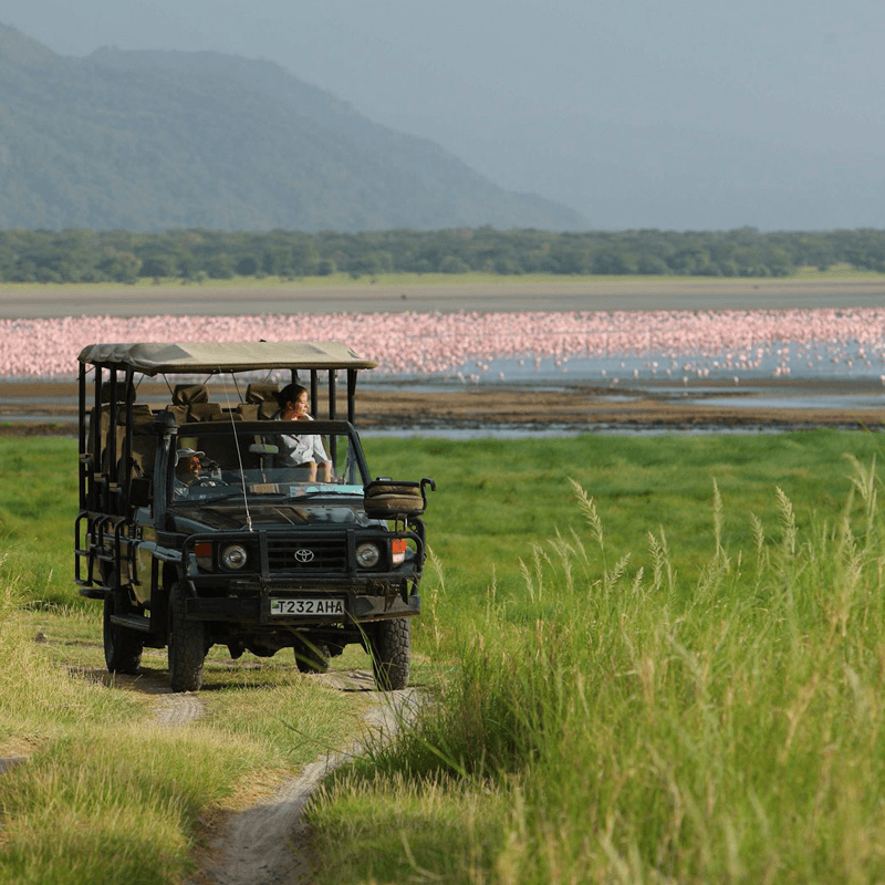 Lake Manyara Tree Lodge on day 1 of Ngorongoro & Manyara: Into Tanzania’s Wildlife Wonderland
