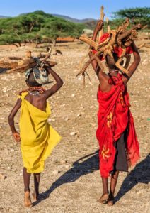 Maasai Women collecting firewood