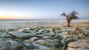 Makgadikgadi Pans in Botswana