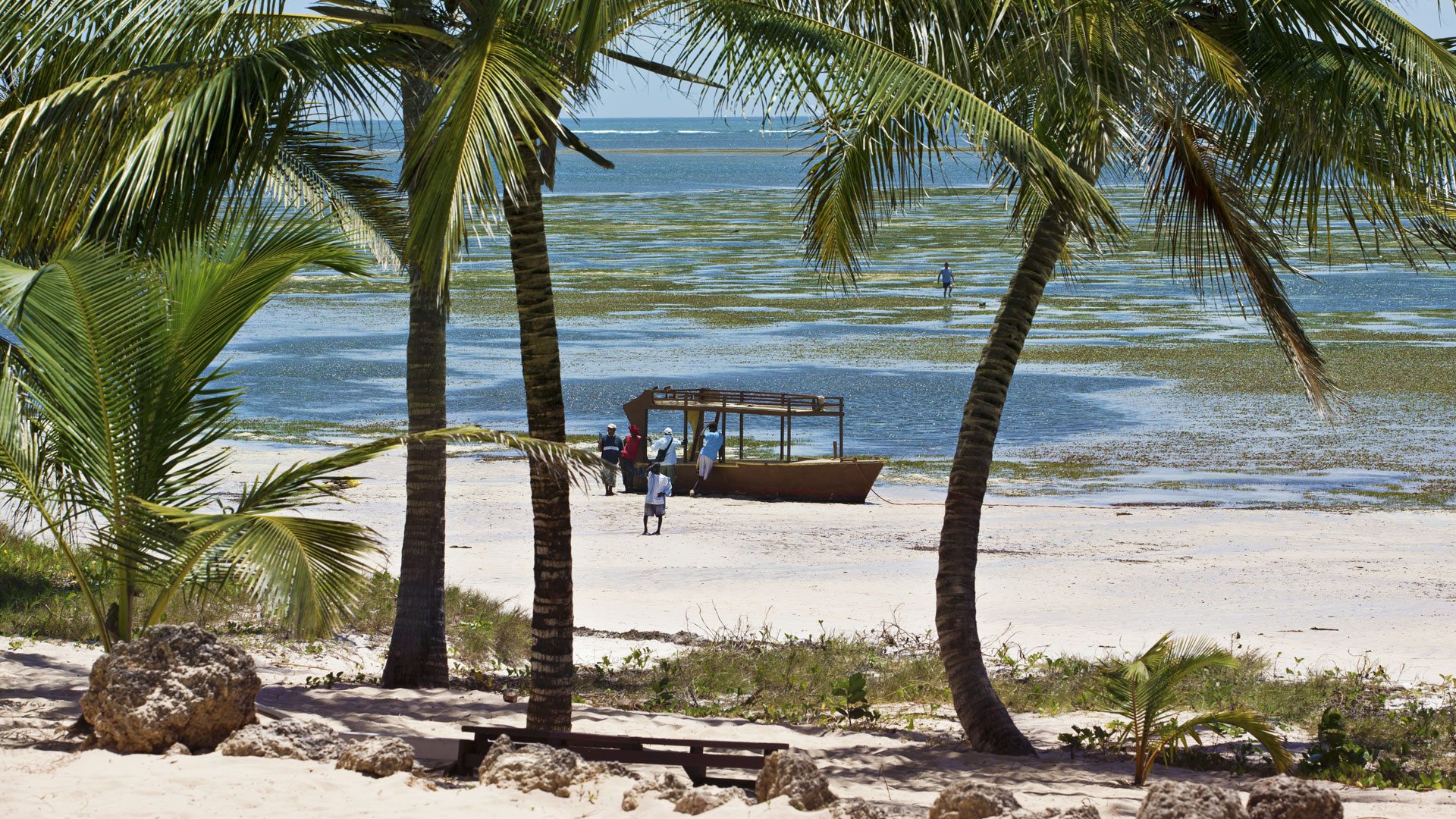 Immerse Yourself In The Rich Cultural Heritage Of Mombasa