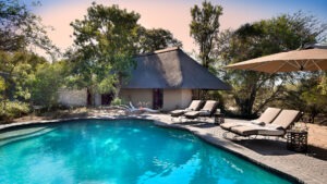 Family Suite Swimming at Ngala Safari Lodge