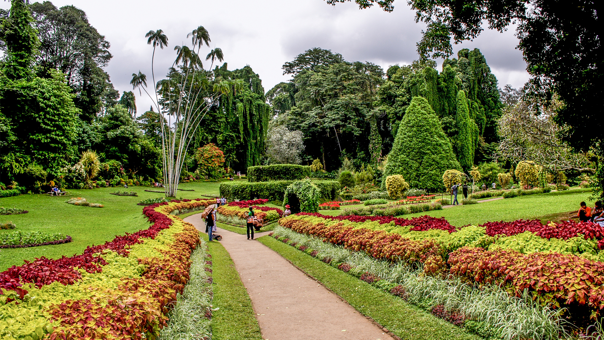 Path with colorful gardens on both sides
