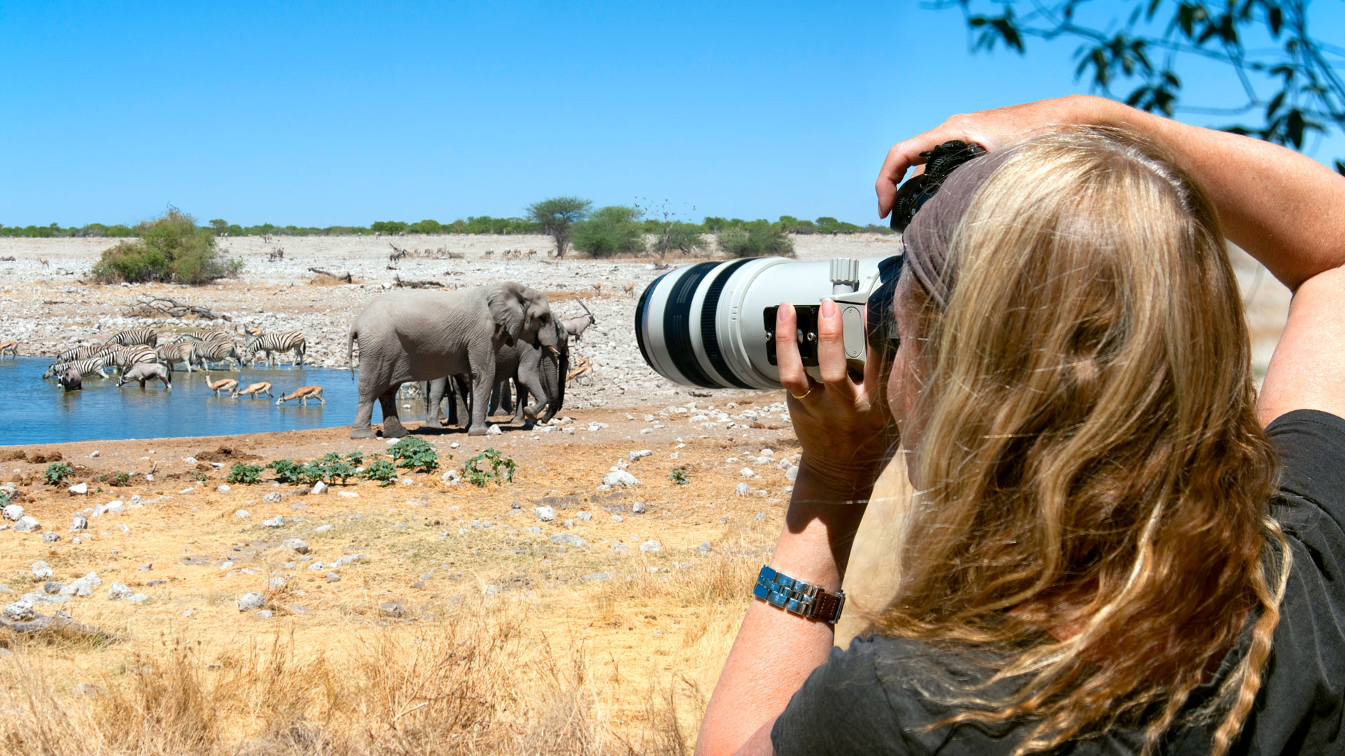 Photography and Birding in Etosha National Park | andBeyond