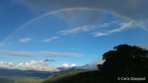 Rainbow NCL by carla glasspool