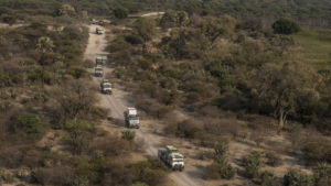 Rhino convoy in Botswana