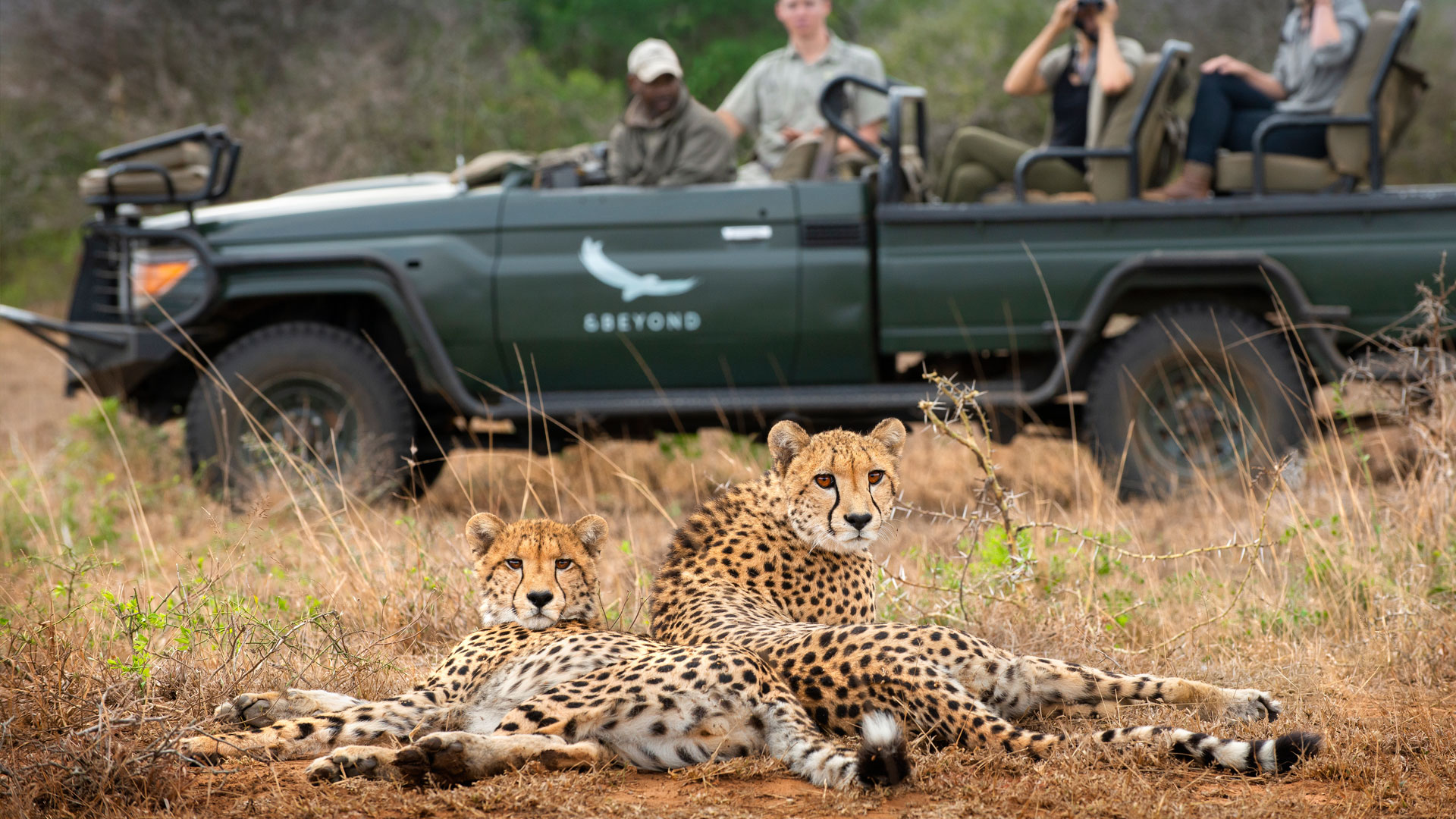 kenya safari experts