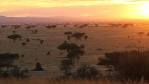 Serengeti Grumeti sunset penny parker