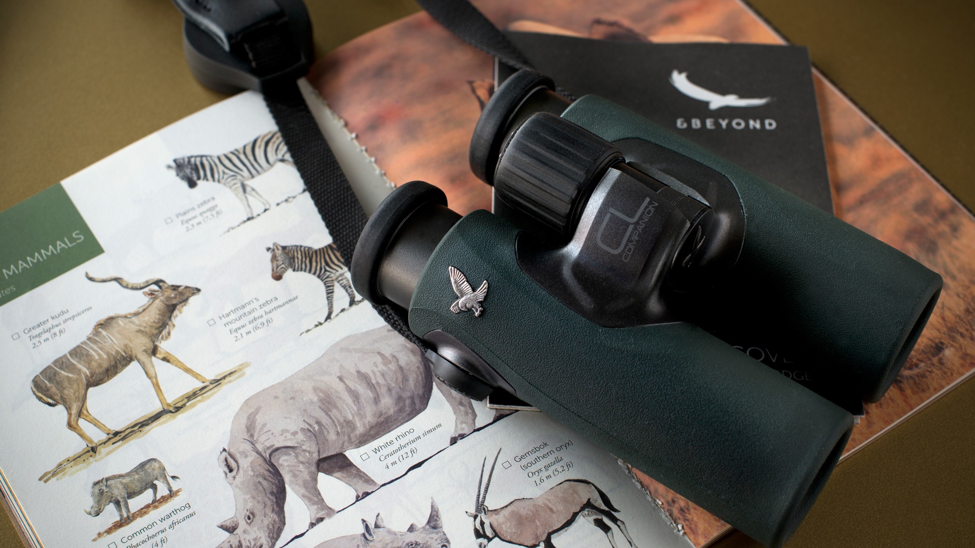 Swarovski Binoculars