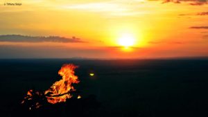 Tiffany Steyn Sunset Fire 03 Jul