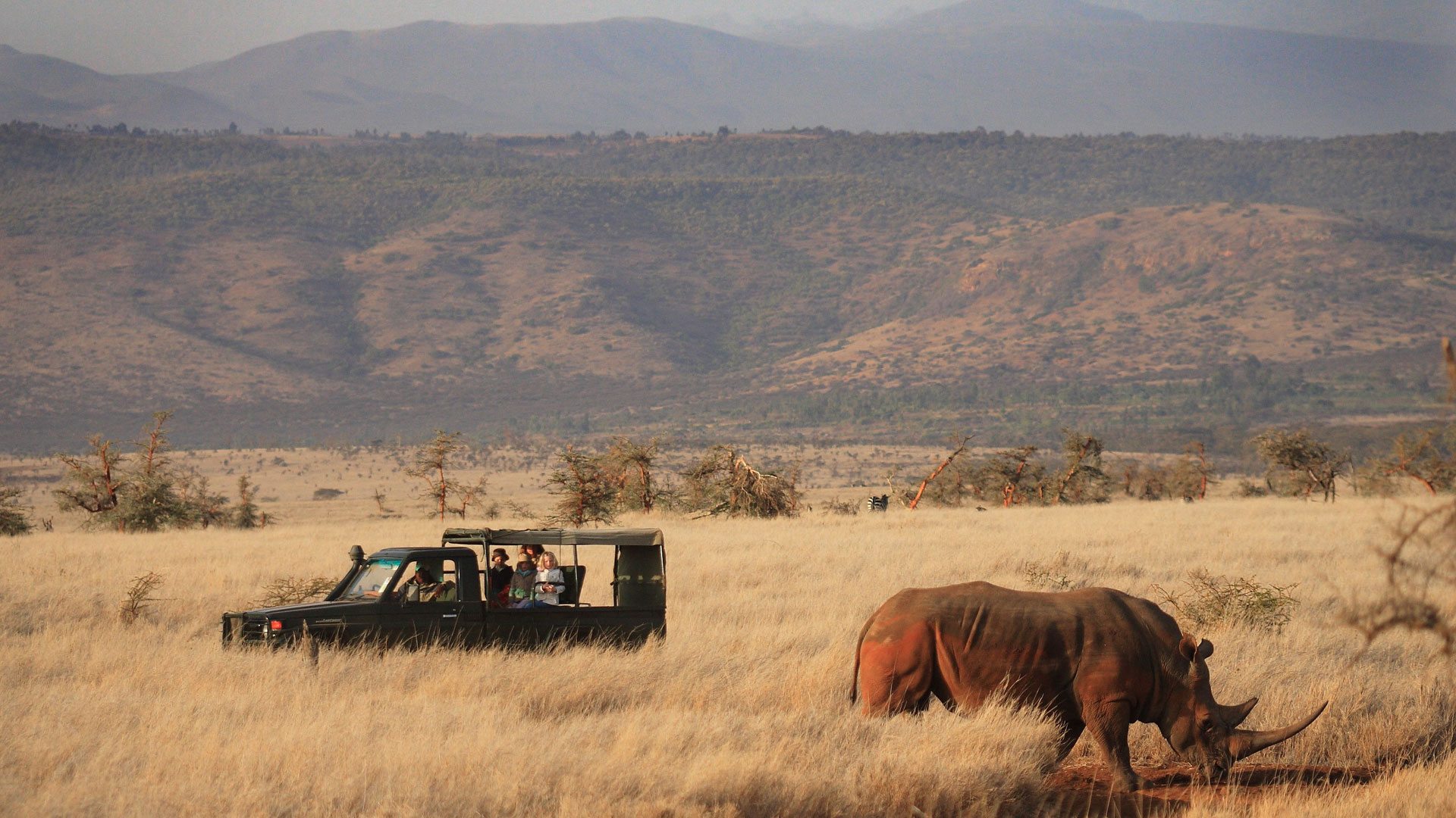 Visit Lewa Downs Conservancy | UNESCO World Heritage Site