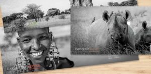 andbeyond impact review care of the land wildlife and people