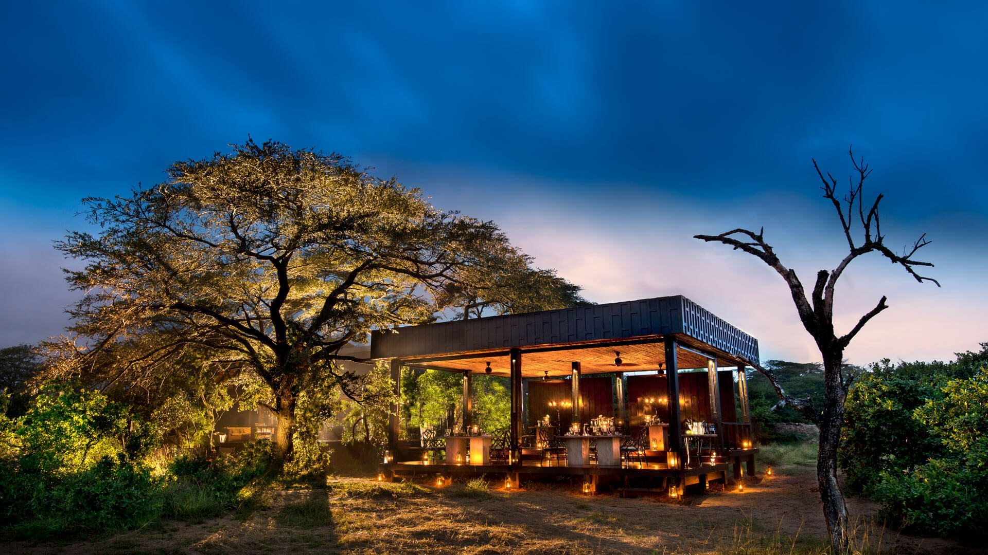 Escape to the New Phinda Vlei Lodge