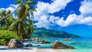 azure seas and palm trees seychelles