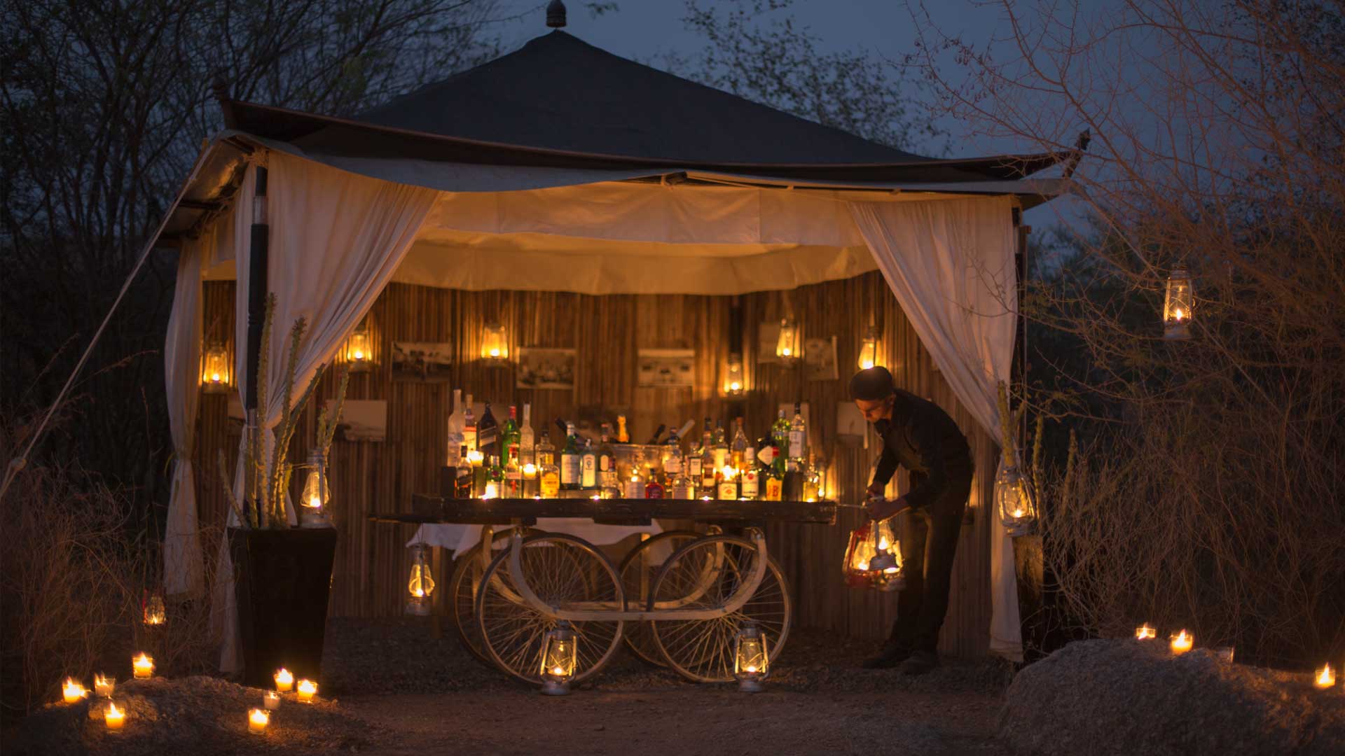 bar at sujan jawai leopard camp