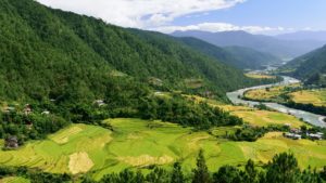 Paro Valley