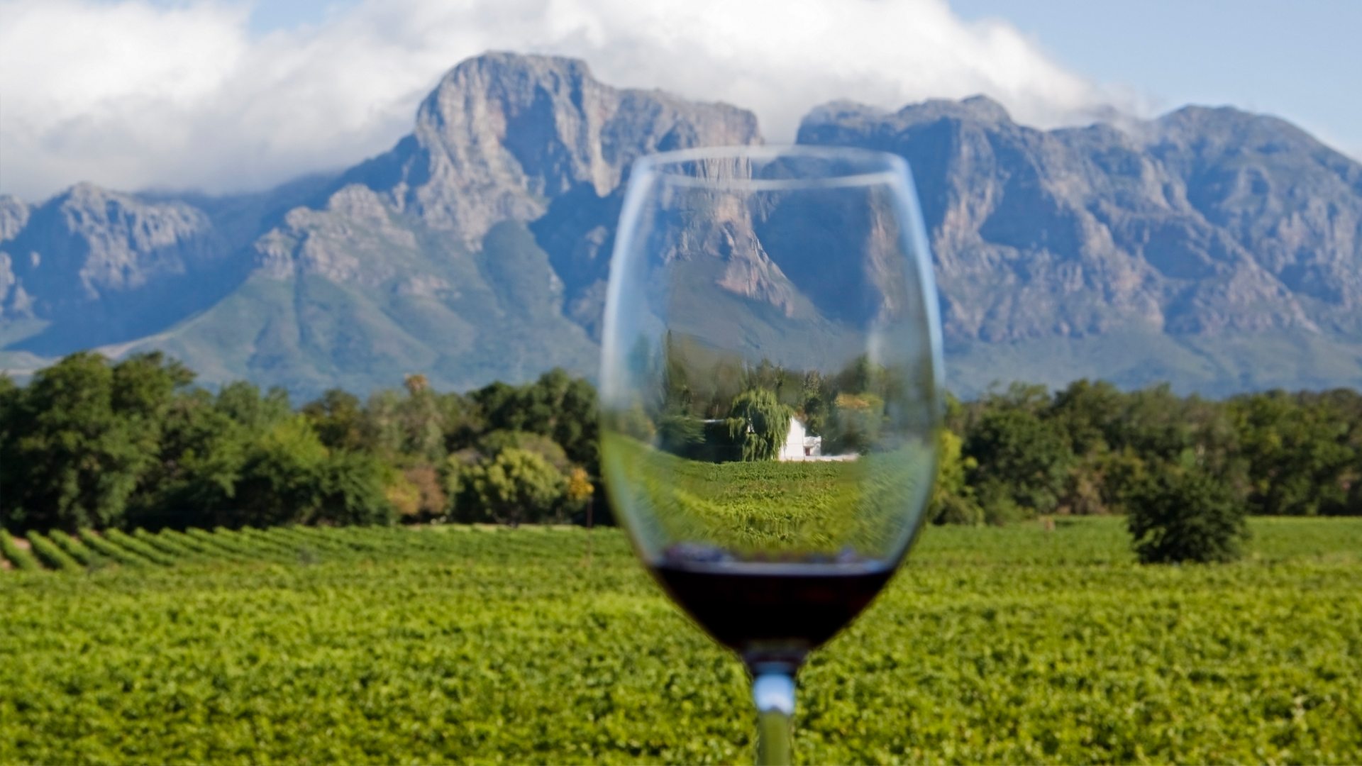 Winelands Tour Cape Wine Estates Stellenbosch AndBeyond