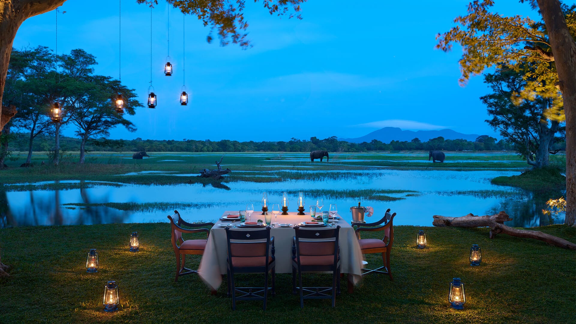 Cinnamon Lodge Habarana | Cultural Triangle | andBeyond
