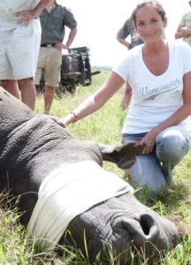 claire trickett from andbeyond with a sedated rhino