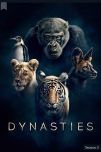 Dynasties