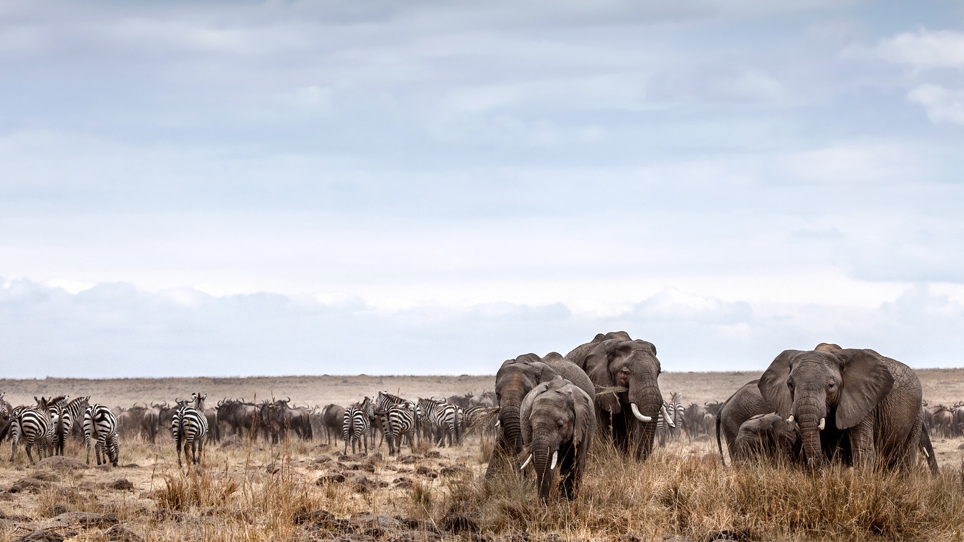 10 things to do in the Masai Mara | Luxury Kenya Safari 10 things to do in the Masai Mara | Luxury Kenya Safari